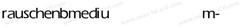 rauschenb medium字体转换